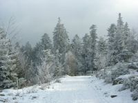 Col des pandours ( Alsace, Vosges)