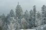 Col des pandours ( Alsace, Vosges)